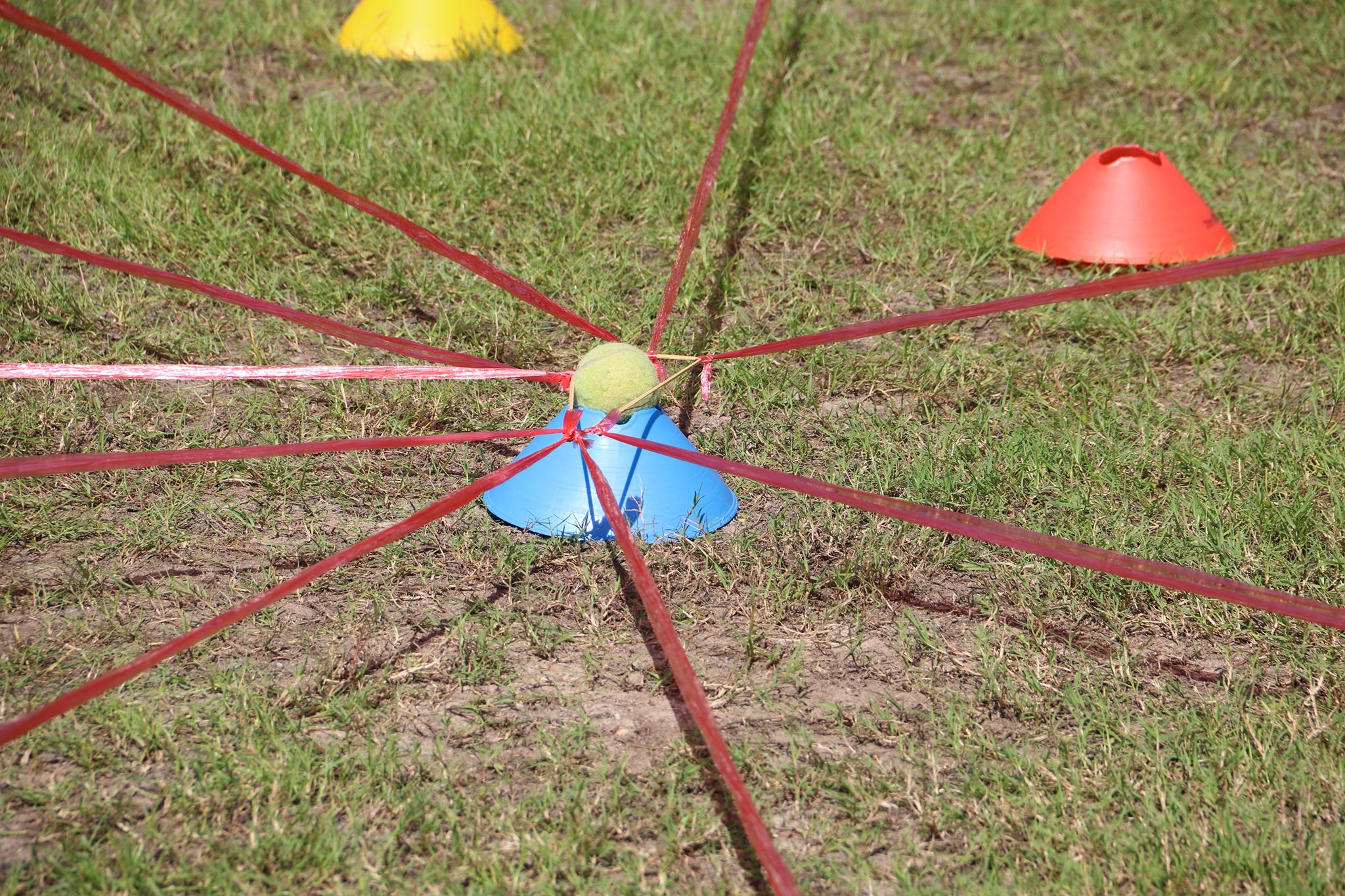 122749851 102544904994655 7146788651591020043 o